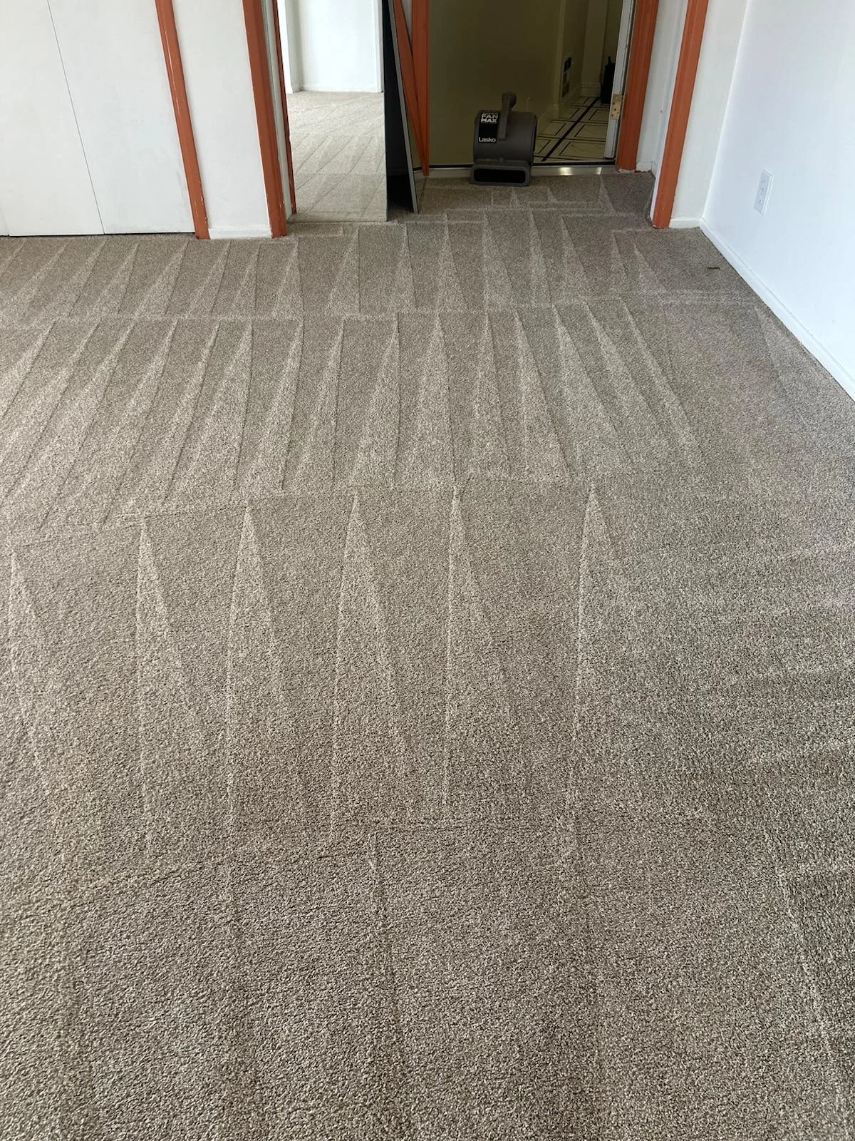 Wall-to-wall carpet deep cleaned with even lines across the room